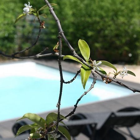 Les Centaurines Bed and Breakfast Saint-Siffret Εξωτερικό φωτογραφία