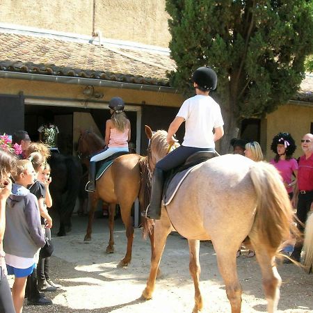 Les Centaurines Bed and Breakfast Saint-Siffret Εξωτερικό φωτογραφία