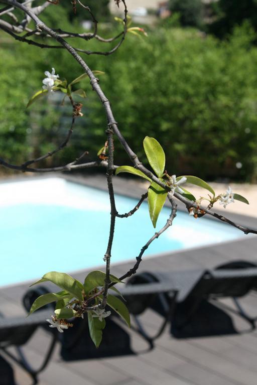 Les Centaurines Bed and Breakfast Saint-Siffret Εξωτερικό φωτογραφία